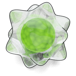 Phyto Datoid preview