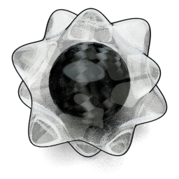 Synthetic Datoid preview