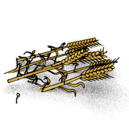 Grain preview