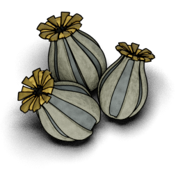 Poppy Heads preview
