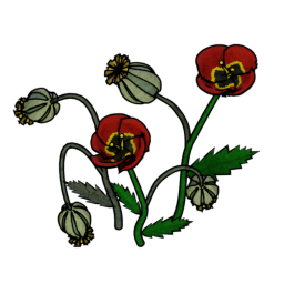 Poppy preview
