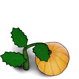 Pumpkin preview