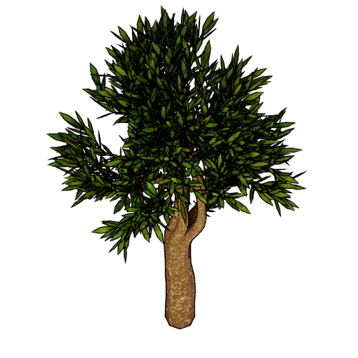 Rubber Tree preview