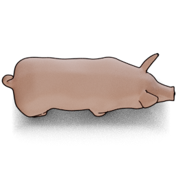 Pig preview